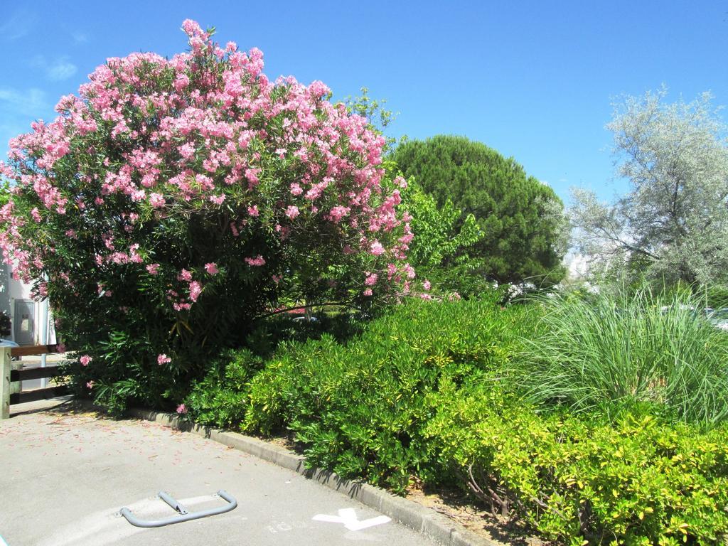 Vittoria Immobilier 12 -Reglement Sur Place - Cheques Vacances Acceptes 拉格朗德默特 外观 照片