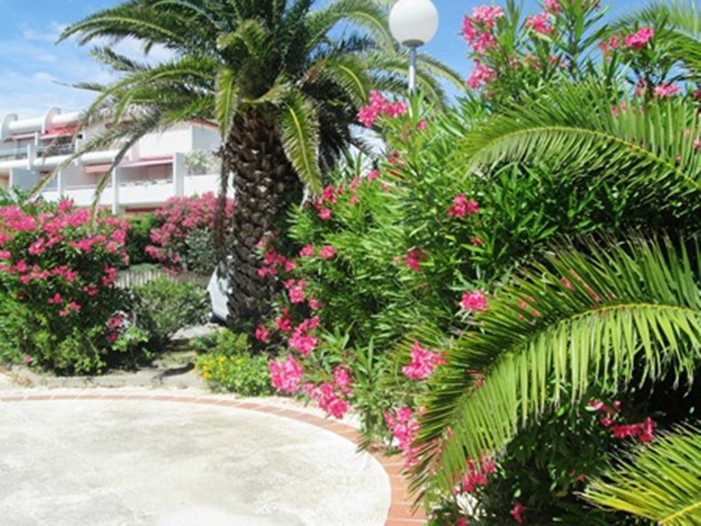 Vittoria Immobilier 12 -Reglement Sur Place - Cheques Vacances Acceptes 拉格朗德默特 外观 照片